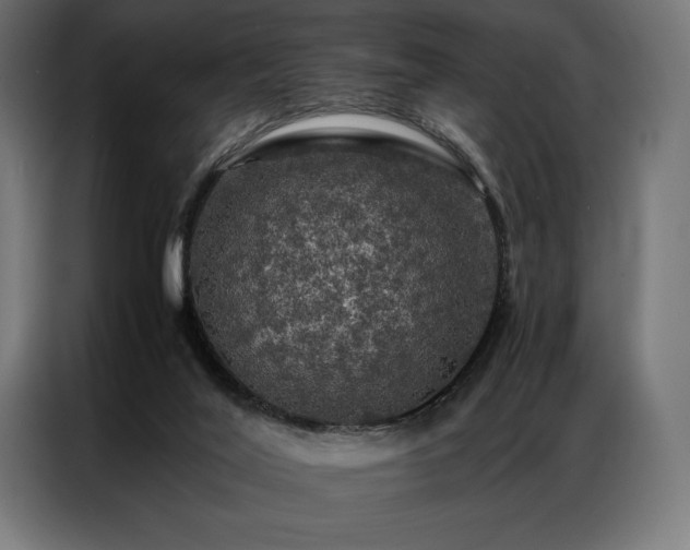 X0000087020020200704161609