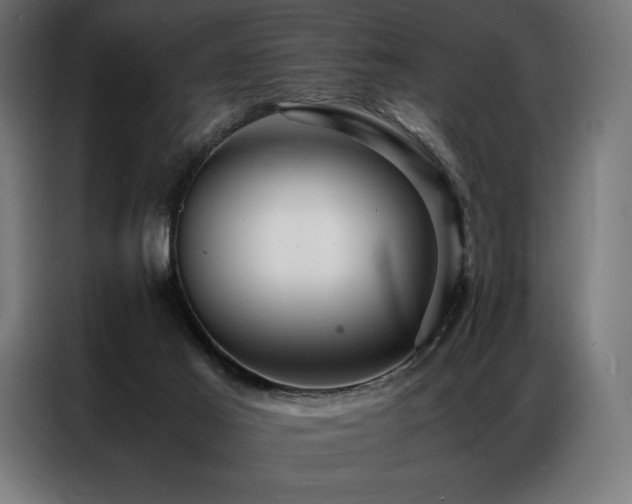 X0000087020021200704161609