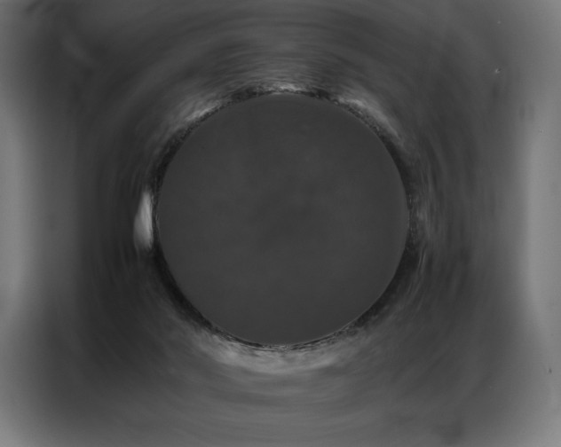 X0000087020022200704161609