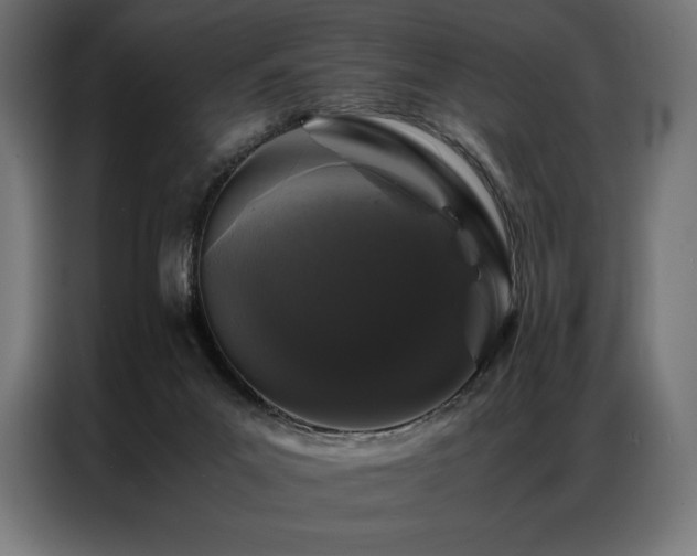 X0000087020023200704161609