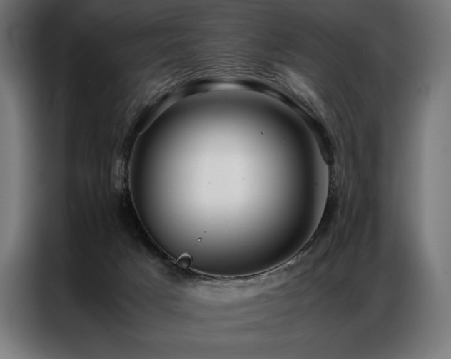 X0000087020025200704161609