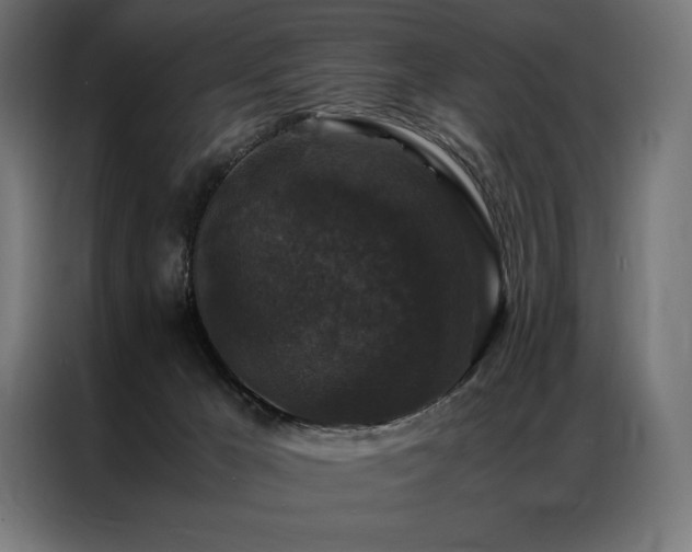 X0000087020029200704161609