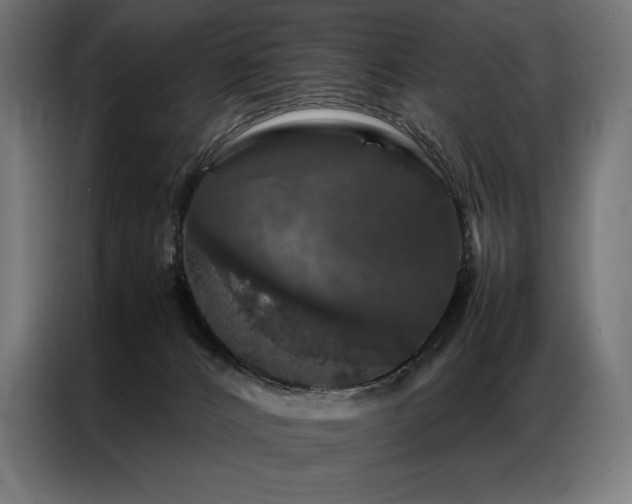X0000087020032200704161609