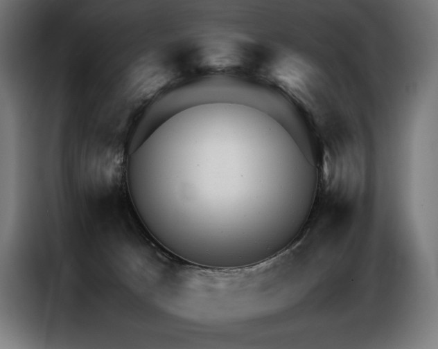 X0000087020033200704161609