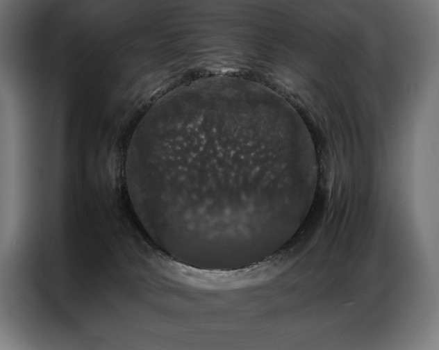 X0000087020034200704161609