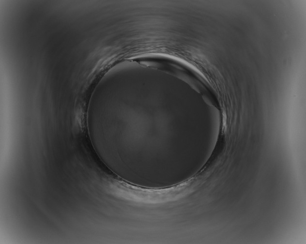 X0000087020035200704161609
