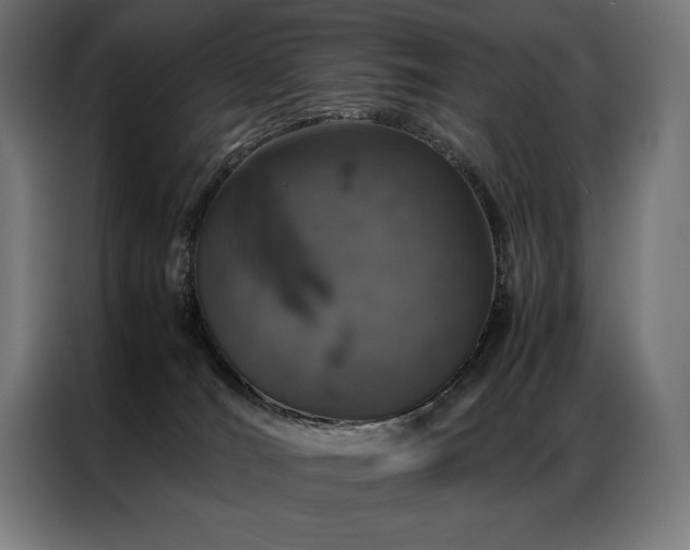 X0000087020036200704161609