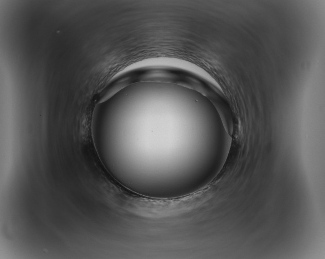 X0000087020037200704161609