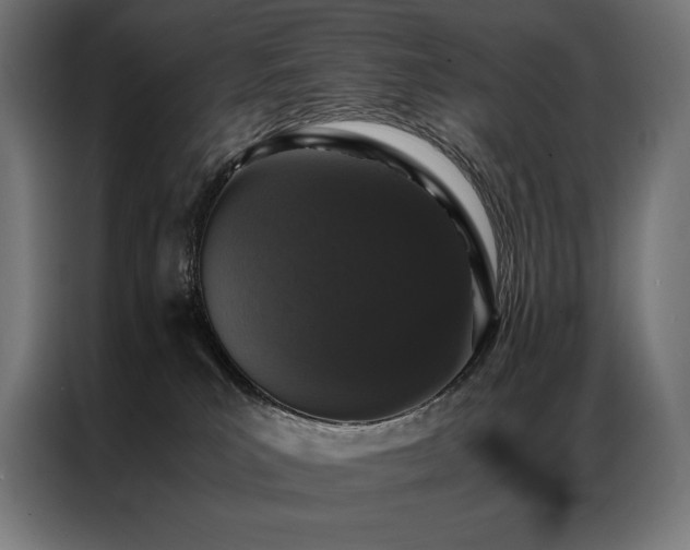 X0000087020039200704161609