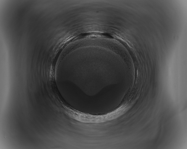 X0000087020048200704161609