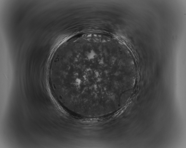 X0000087020049200704161608