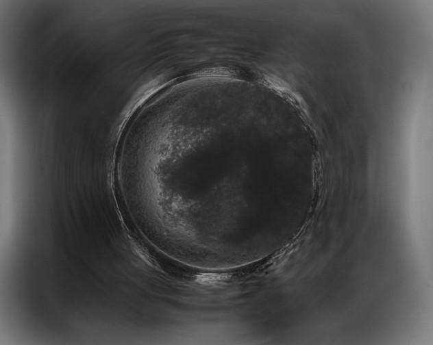 X0000087020051200704161608