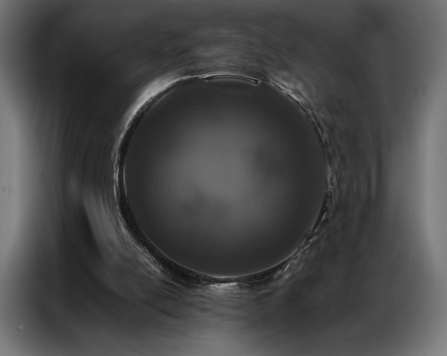 X0000087020054200704161608
