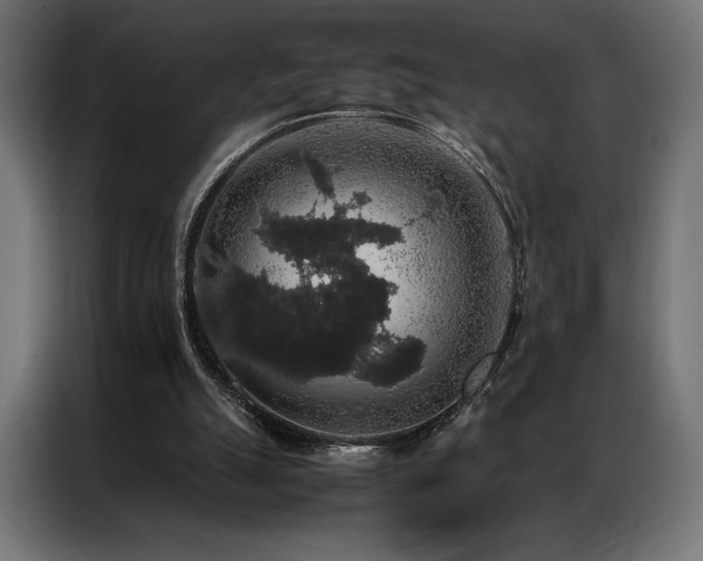 X0000087020055200704161608