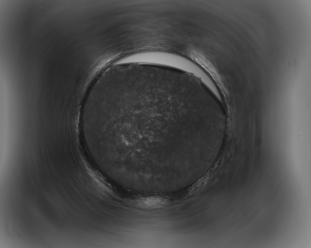 X0000087020058200704161608