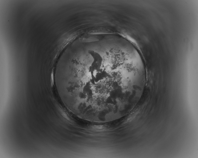 X0000087020061200704161608