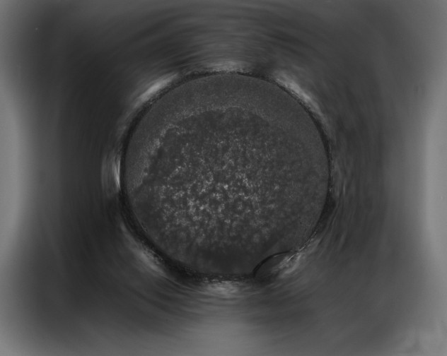 X0000087020062200704161608