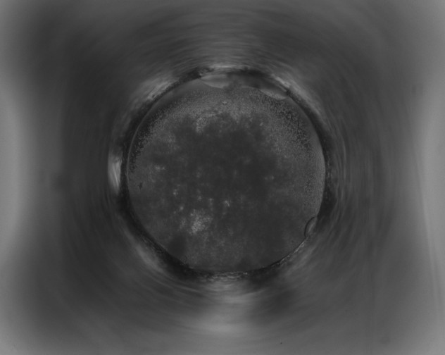 X0000087020070200704161608
