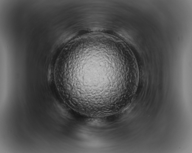 X0000087020074200704161608