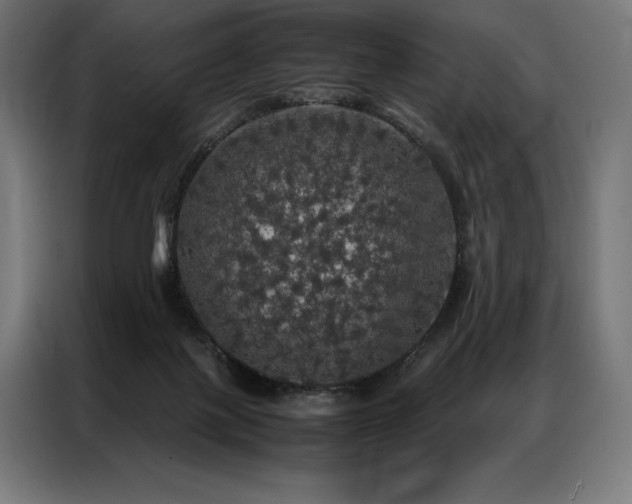 X0000087020075200704161608