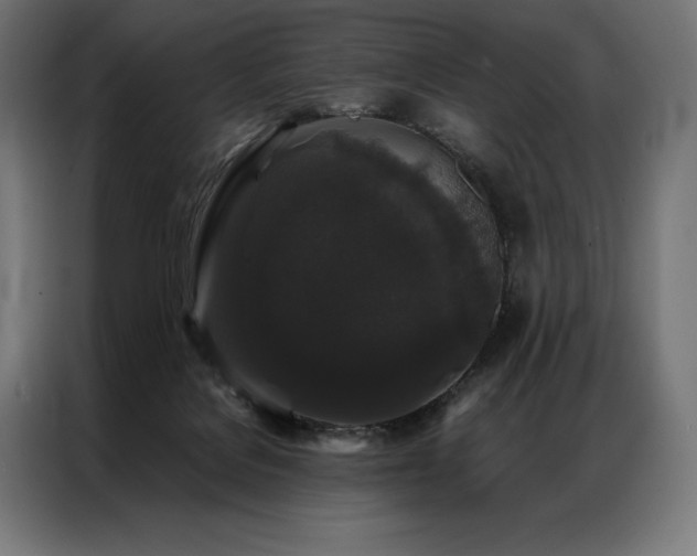 X0000087020076200704161608