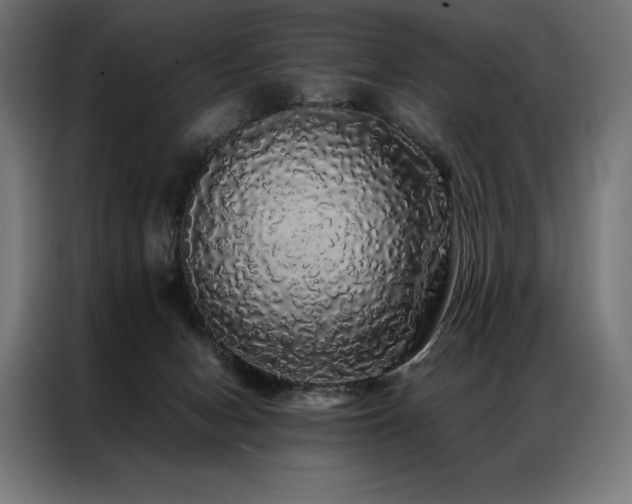 X0000087020078200704161608