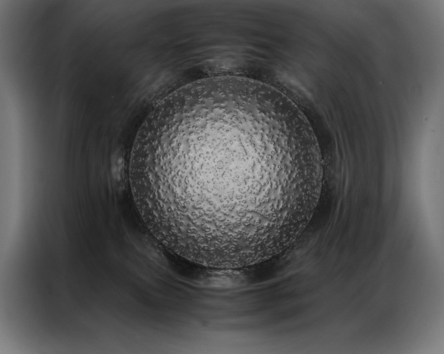 X0000087020087200704161609
