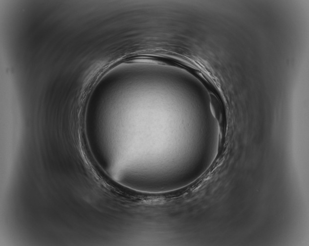 X0000087020097200704161608
