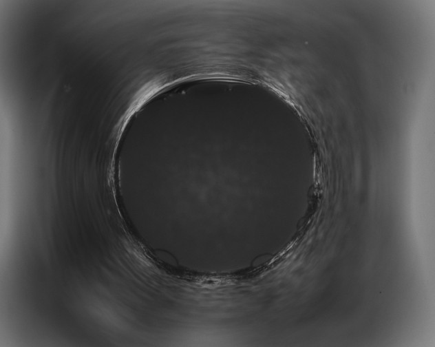 X0000087020099200704161608