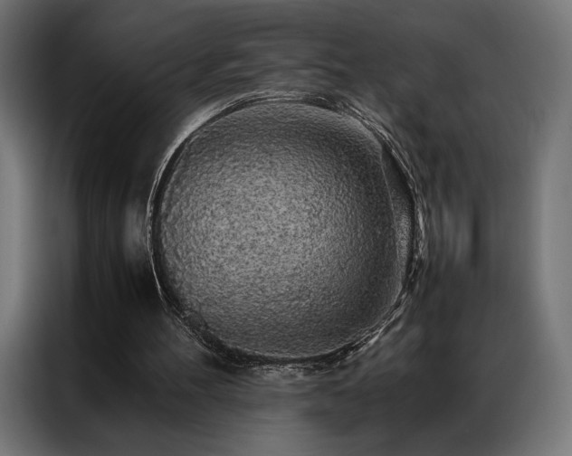 X0000087020100200704161608