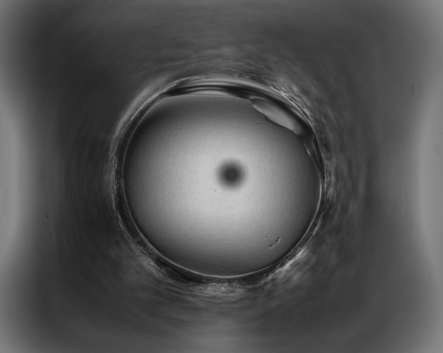 X0000087020101200704161608