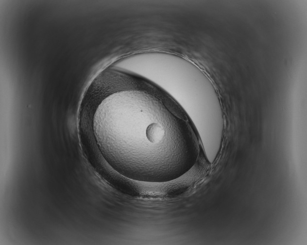 X0000087020104200704161608