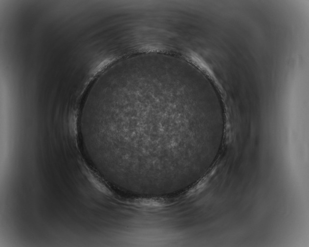 X0000087020106200704161608