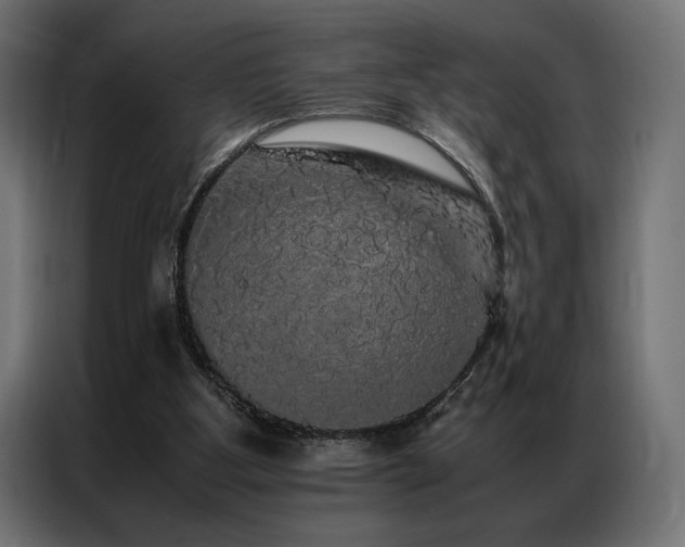 X0000087020107200704161608