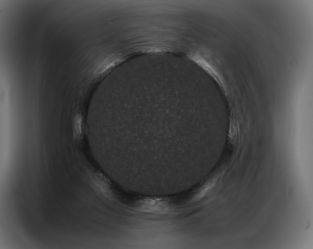 X0000087020117200704161608