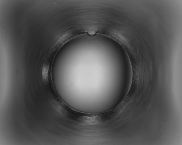 X0000087020118200704161608