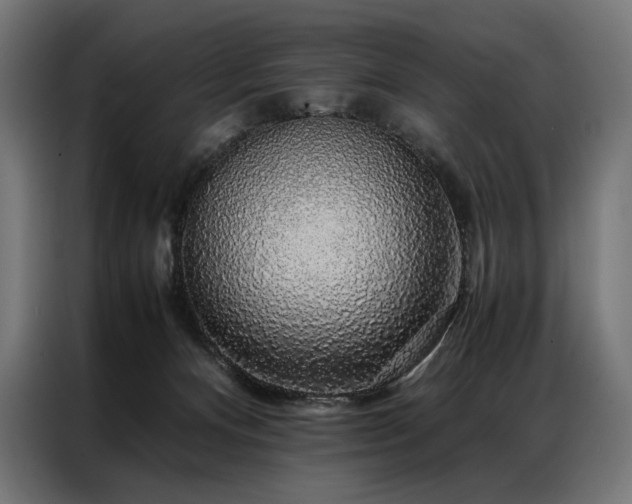 X0000087020128200704161608