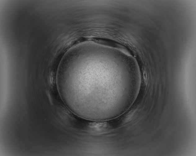 X0000087020135200704161608