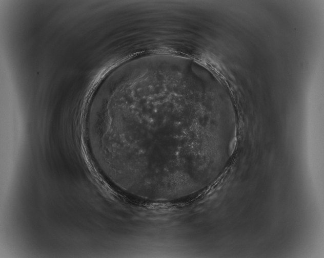 X0000087020145200704161607