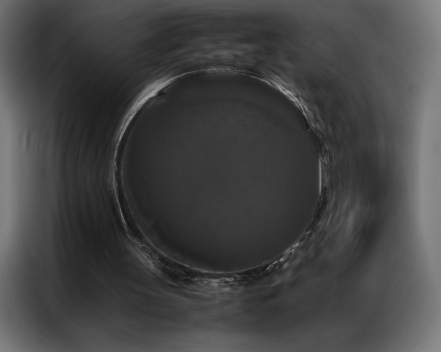 X0000087020147200704161607
