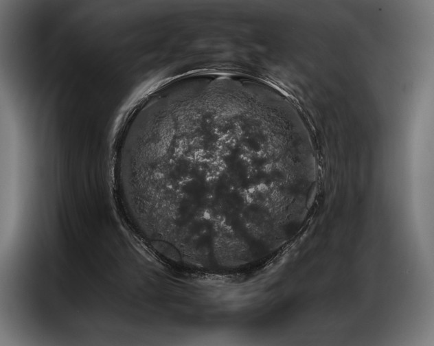X0000087020149200704161607