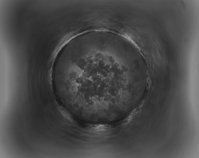 X0000087020151200704161607