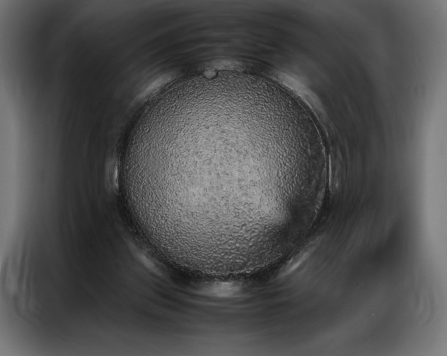 X0000087020157200704161607