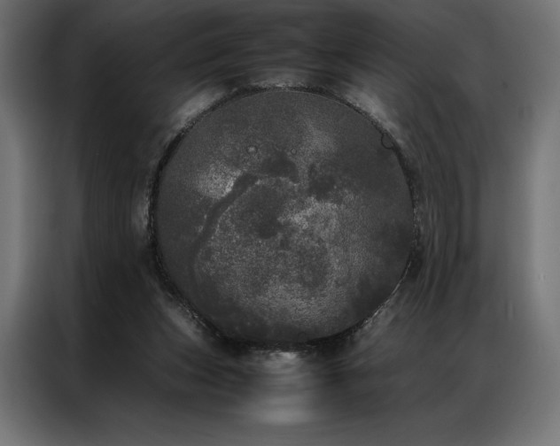 X0000087020159200704161607