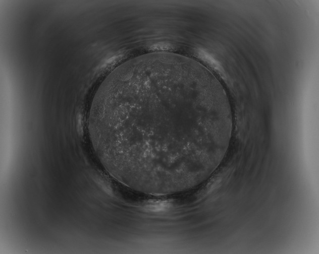 X0000087020161200704161607