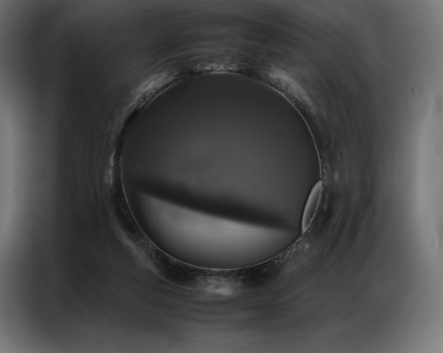 X0000087020163200704161607