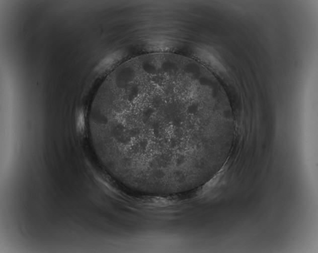 X0000087020166200704161607