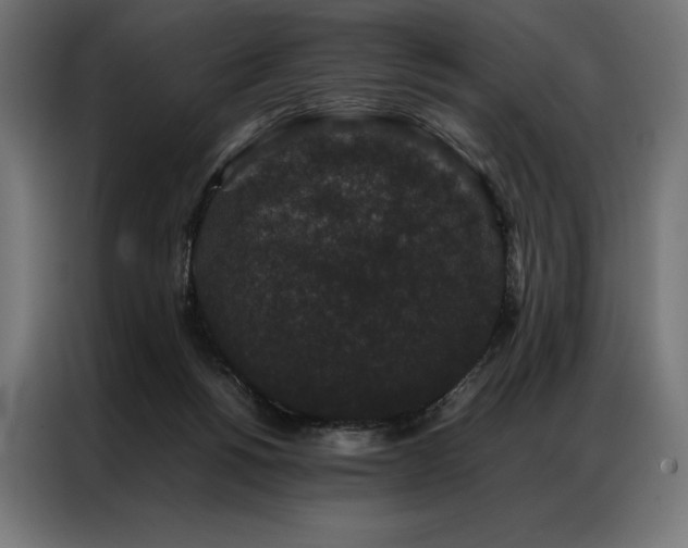 X0000087020168200704161607