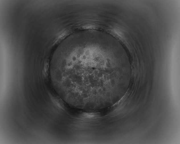 X0000087020171200704161607