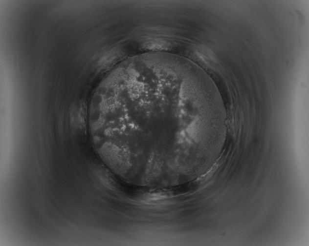 X0000087020175200704161607